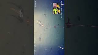 冬の海の探索　夜Ver7 【水中映像 】 #水中ドローン #釣り  #underwaterdrone #dronefishing #女川湾