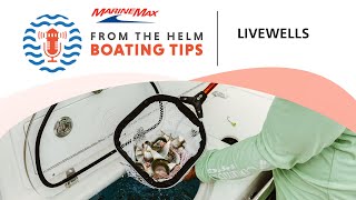 All About Livewells | Boating Tips