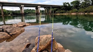 Rio Paranaíba  Pescaria na corredeira com Peixe frito no barranco cardume Incrível