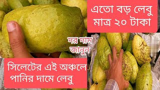 সিলেটের এই অঞ্চলে পানির দামে লেবু বিক্রি হয়। এতো বড় লেবু মাত্র ২০ টাকা। big Lemon price.