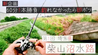 【新企画】60分で釣れ！埼玉県屈指のタフフィールド、柴山沼水路のバスに挑む【時短勝負】