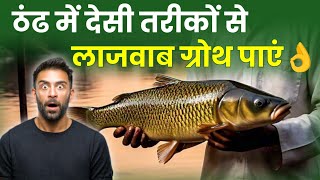 सुपर फास्ट तरीके से बढ़ाएं मछलियों का ग्रोथ || Machali palan ka tarika