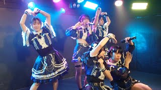 ステラリオン　2025 1/4　GOTANDA G3 『ｰ妃Fesｰ』ライブ映像　