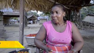 Developing a sustainable alternative income source with the Matawai of Suriname