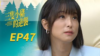 三隻小豬的逆襲 EP47 Piggy's Counterattack｜三立華劇