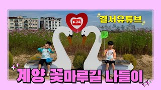 계양 꽃마루길 가을 주말나들이