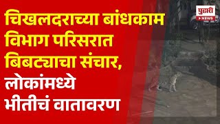 Pudhari News | चिखलदराच्या बांधकाम विभाग परिसरात बिबट्याचा संचार, लोकांमध्ये भीतीचं वातावरण