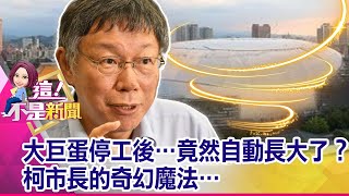 大巨蛋核發建照…才啟動議約？北市府割地賠款？密謀？民眾黨內部也失火？！柯文哲、蔡壁如30年主僕情生變？-【這！不是新聞 精華篇】20200623-2