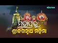 ନିତ୍ୟ ମହାପ୍ରଭୁଙ୍କ ନିକଟକୁ ତୁଳସୀ ଫୁଲ ଫଳ ପଠାନ୍ତୁ tulasi baba bhubaneswar dr. ashutosh prasad mishra