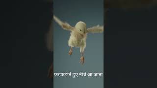 बाज़ और चूज़े की कहानी l A Motivational Story in Hindi l An Inspirational Story l