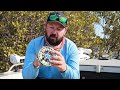 lamson litespeed m10 lubin pfeiffer reviews