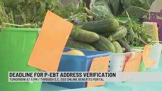 Deadline for SC families to verify mailing addresses for pandemic-EBT benefits is Thursday