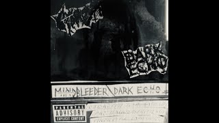 Dark Echo / Mindbleeder (US / Canada) - S/T (Split 2020)