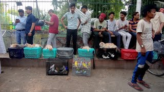 Lucknow Nakhas Market full Exotic Birds Market update लखनऊ की सबसे सस्ती चिड़िया बाजार 26 05 24