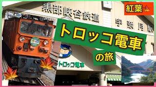 【10月紅葉】黒部峡谷鉄道　トロッコ電車