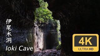 Ioki Cave - Kochi - 伊尾木洞