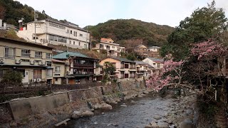 Yajiさんの温泉ひとり旅 伊豆 湯ヶ野温泉街の今【Izu Yugano Spa. Explore the Yugano hot spring town】