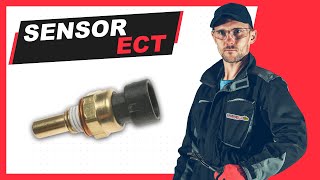 💥 SENSOR ECT | QUÉ ES, UBICACIÓN, FUNCIONAMIENTO Y FALLAS