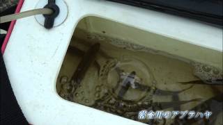 東久留米市　落合川と南沢湧水群　散策