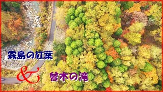 【霧島の紅葉　曾木の滝 】 #ドローン空撮　＃紅葉と滝