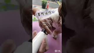 GO GO SHOWER 專業版 _ 充電式磨甲器 _ 職人美容師的最愛