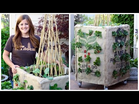 DIY Grow Box (Vertical Gardening) DIY Grow Box (Vertical Gardening)