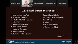 Overview of Criminal Extremist Hate Groups