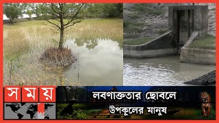 নদীতে বাড়ছে লবণাক্ততা, হুমকির মুখে খুলনার জলজ জীববৈচিত্র্য ! | Khulna Salt Water | Somoy TV