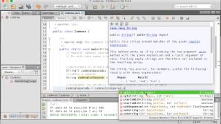 Separar cadenas en Java - Split Strings in Java