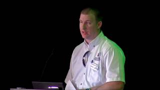 Building and Fire: Permitting & Safety Issues