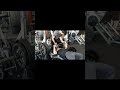 295lbs attempt 151lbs bodyweight