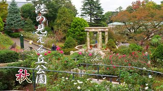 YOKOHAMA. Minato-no-mieru-oka Park 2020 Autumn.#4K #港の見える丘公園 #秋バラ