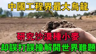 中國工程界最大烏龍！研究沙漠種小麥，卻誤打誤撞解開世界難題 #大案紀實 #刑事案件 #大案要案