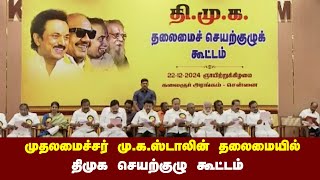 🔴LIVE : முதலமைச்சர் மு.க.ஸ்டாலின் தலைமையில் திமுக செயற்குழு கூட்டம்