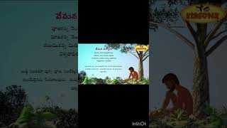 'Puja kanna nencha' Vemana shatakam by Advaith #yt #shorts #telugu #cute #learning #vemana