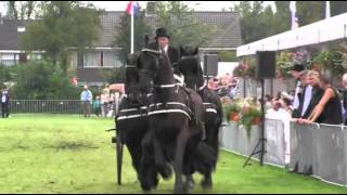 The KFPS Royal Friesian Horse