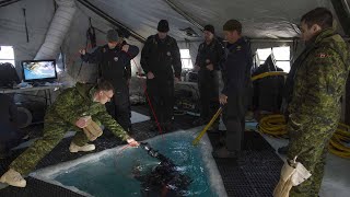 Canadian Armed Forces - Water, Fuels and Environmental Technician - English (2022)