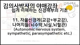 쉽게 이해하는 신경해부 11.자율신경계(교감+부교감), 기타(뇌수막,뇌실,뇌혈관) (완결) [김의사박사의 야매강좌]