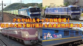 2020,11,3　祝日の大阪を駆け抜ける貨物列車17本！　クモヤ443＆キャラクター付きの白桃、押桃登場します！