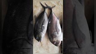 💥 #மிக குறைவான🐡 #விலையில் #மீன் ஏலம் #low price  #fish #trending #shorts #youtubeshorts