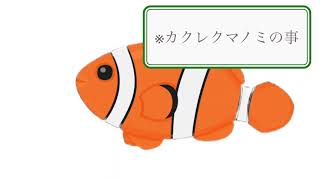 魚の雑学【カクレクマノミ】