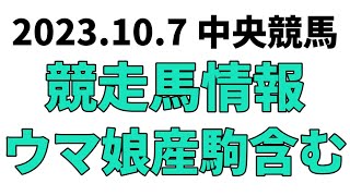 【サウジアラビアRC】中央競馬情報 2023年10月7日【ウマ娘産駒】