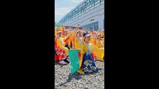 鳴海ここよい祭り コンコン豊川