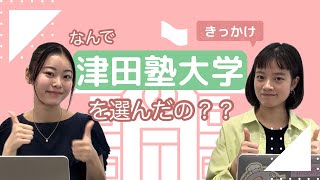 うめりあるメンバーが津田塾大学を選んだ理由・きっかけ