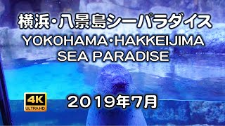 [4K] 横浜・八景島シーパラダイス YOKOHAMA・HAKKEIJIMA SEA PARADISE 2019-07