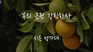 [ 시온 성가대 ] - 2025.02.16 복의 근원 강림하사