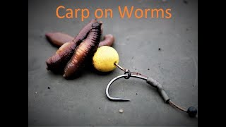 Worms For Carp | Winter Carp Fishing | Solid PVA Bag | USA