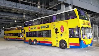 Hong Kong Bus CTB 8491 @ B8 城巴 Alexander Dennis Enviro500 MMC 香園圍口岸 - 大圍站