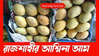 এখনো সস্তায় খেতে পাচ্ছেন রাজশাহীর আশ্বিনা আম | Rajshahi Mango Bazar  | Doyel Media360