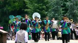 東京ディズニーランド　七夕グリーティング2011